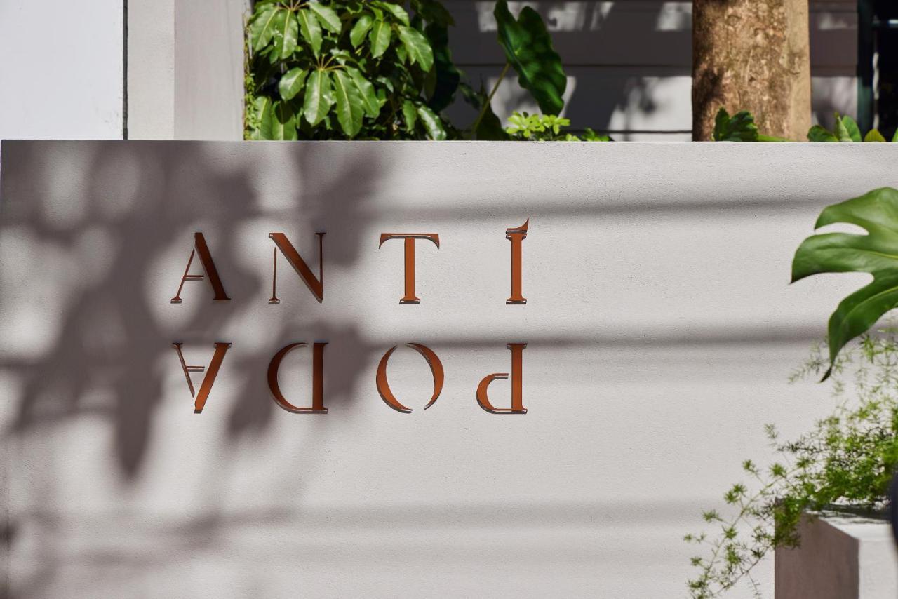 Antipoda Hotel Boutique Medellín Kültér fotó