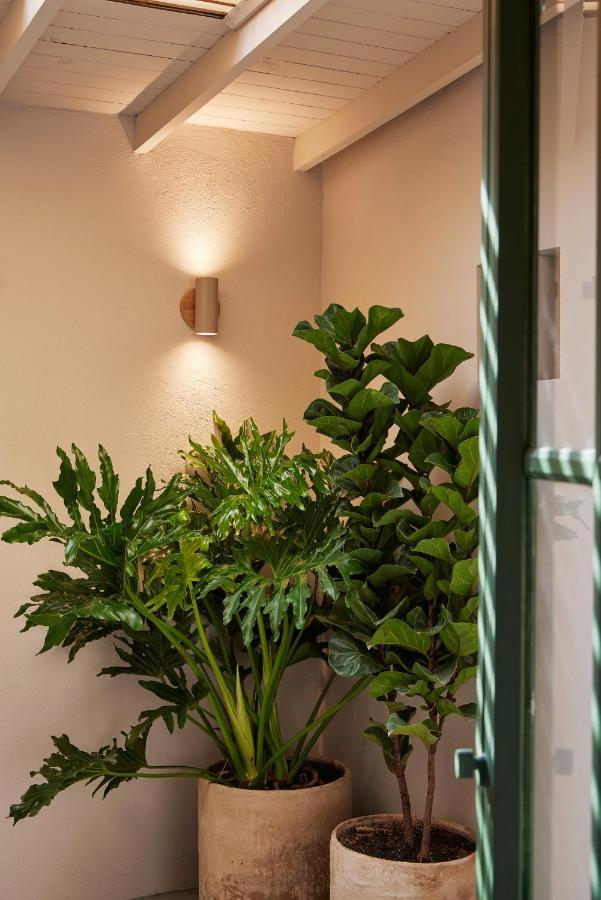 Antipoda Hotel Boutique Medellín Kültér fotó
